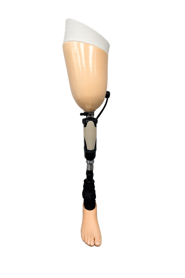 Transfemoral prosthesis